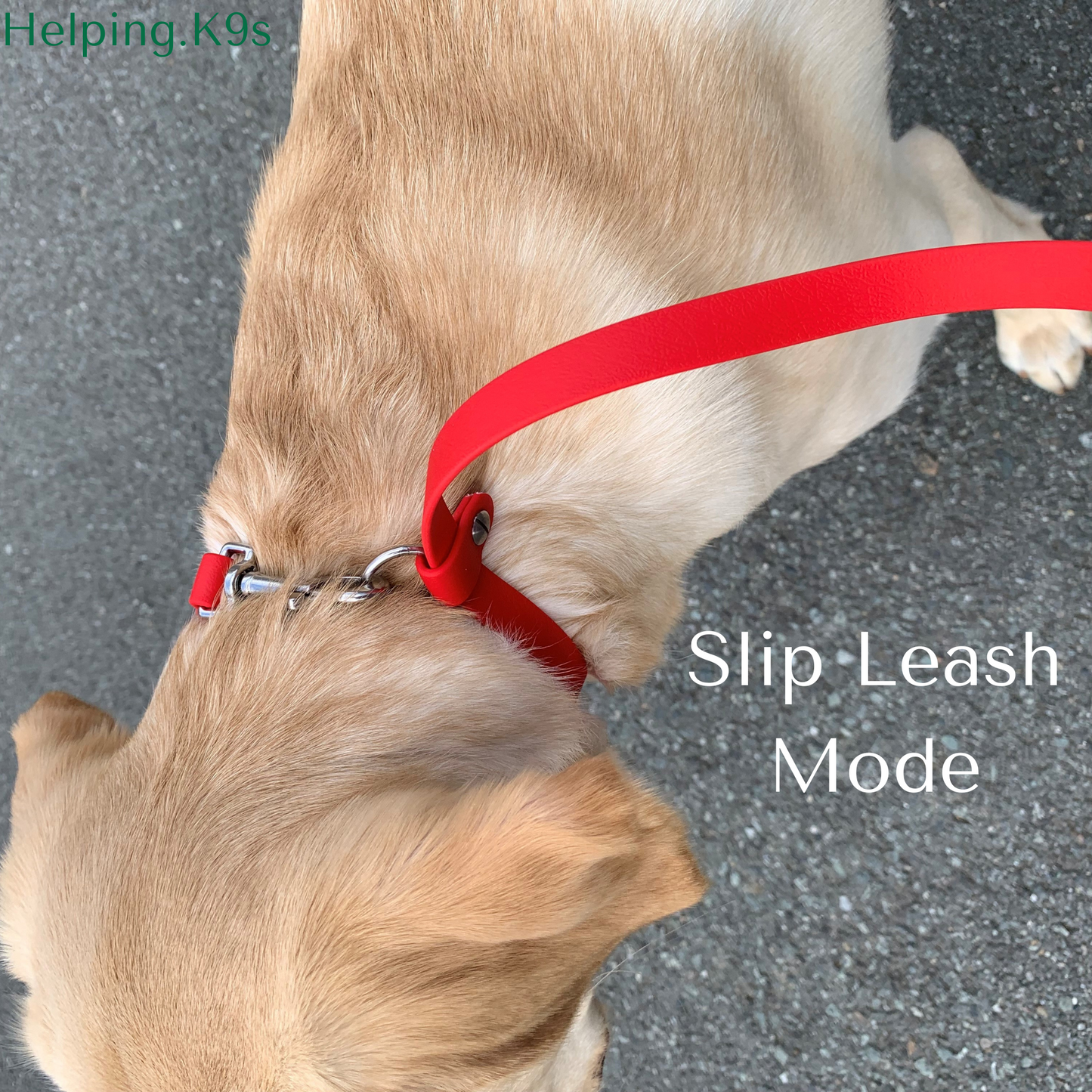 6-in-1 Handsfree Adjustable Multipurpose Waterproof All in One Leash, 5/8" in BioThane, Service Dog Leash, Custom Leash