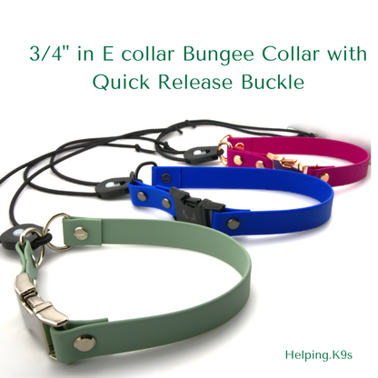 E collar Bungee Collar with Quick Release Buckle, Fits 3/4" inch for Dogtra, Garmin, E collar Technologies, Waterproof Collar, USA BioThane