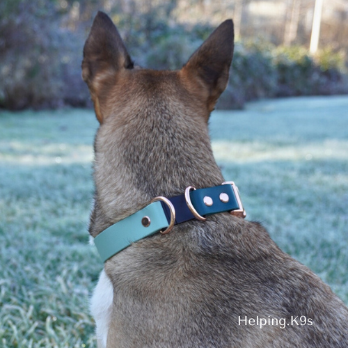 Breakaway BioThane® 1 Inch Collar, Custom, Quick Release Metal Buckle, Dog Collar, Safety Dog collar, Waterproof