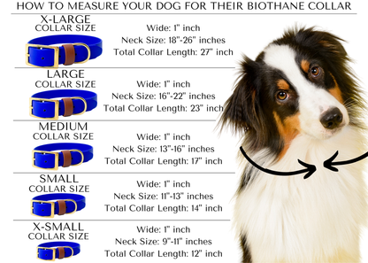Adjustable Waterproof Tactical 1” inch Dog Collar COBRA Buckle Dog Collar