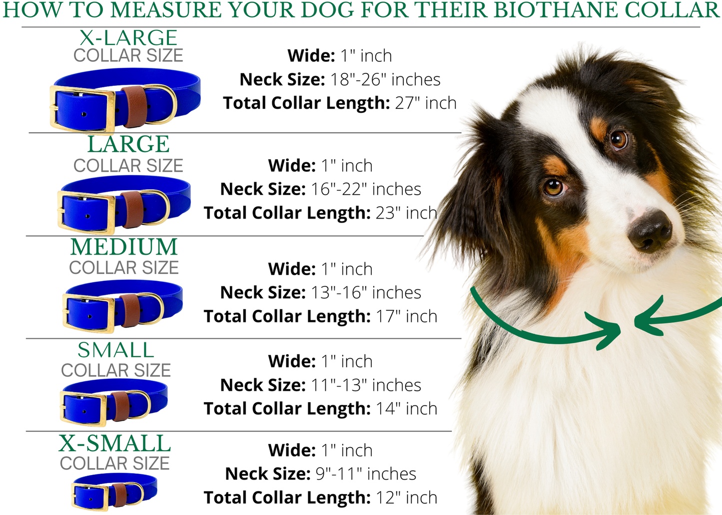 Standard Dog Collar Set Package Deal, From 2 to 4 Collars Bundle, USA BioThane Dog Collar