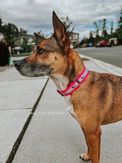 Reflective Safety Dog Collar with O-ring made with USA Biothane®