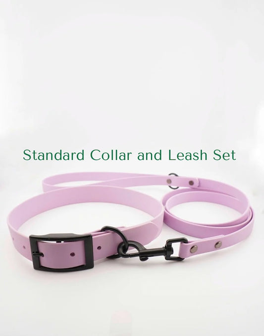 Waterproof Collar and Leash Package, USA BioThane, Dog Collar and Leash Set Deal, One Tone Leash Set, Multiple Colors and Hardware