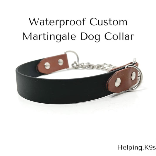 Two-Tone BioThane® Martingale Dog Collar – Custom Waterproof Training Collar with Brass or Stainless Steel Hardware, Handmade in USA