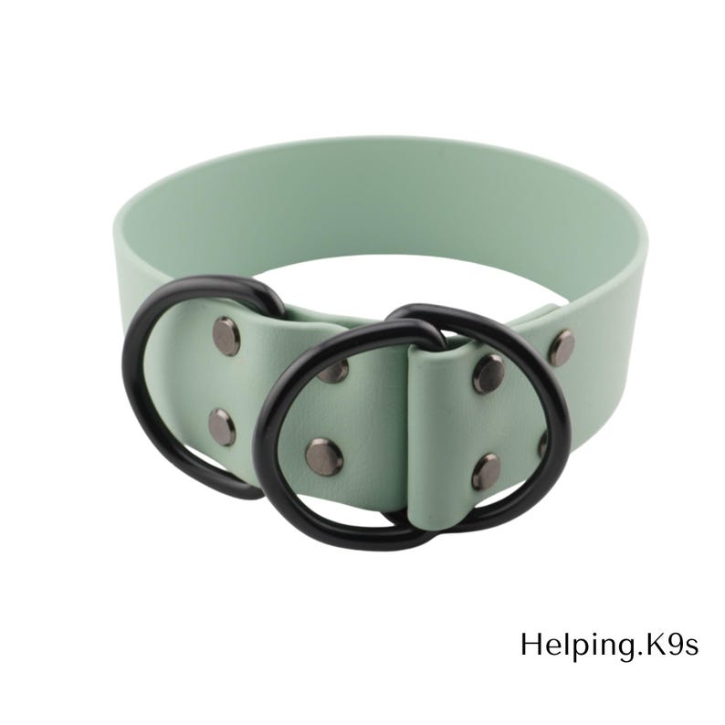 1.5" BioThane® Slip Collar – Waterproof & Odor-Proof Custom Training Collar, Brass Hardware, Handmade in USA