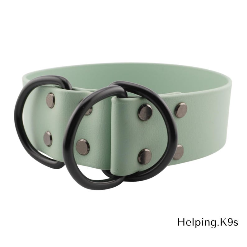 1.5" BioThane® Slip Collar – Waterproof & Odor-Proof Custom Training Collar, Brass Hardware, Handmade in USA