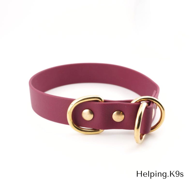 1" BioThane® Slip Collar – Waterproof & Odor-Proof Custom Training Collar with Brass Hardware, Handmade in USA