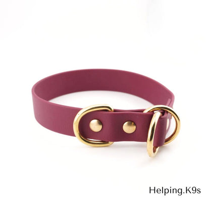 1" BioThane® Slip Collar – Waterproof & Odor-Proof Custom Training Collar with Brass Hardware, Handmade in USA