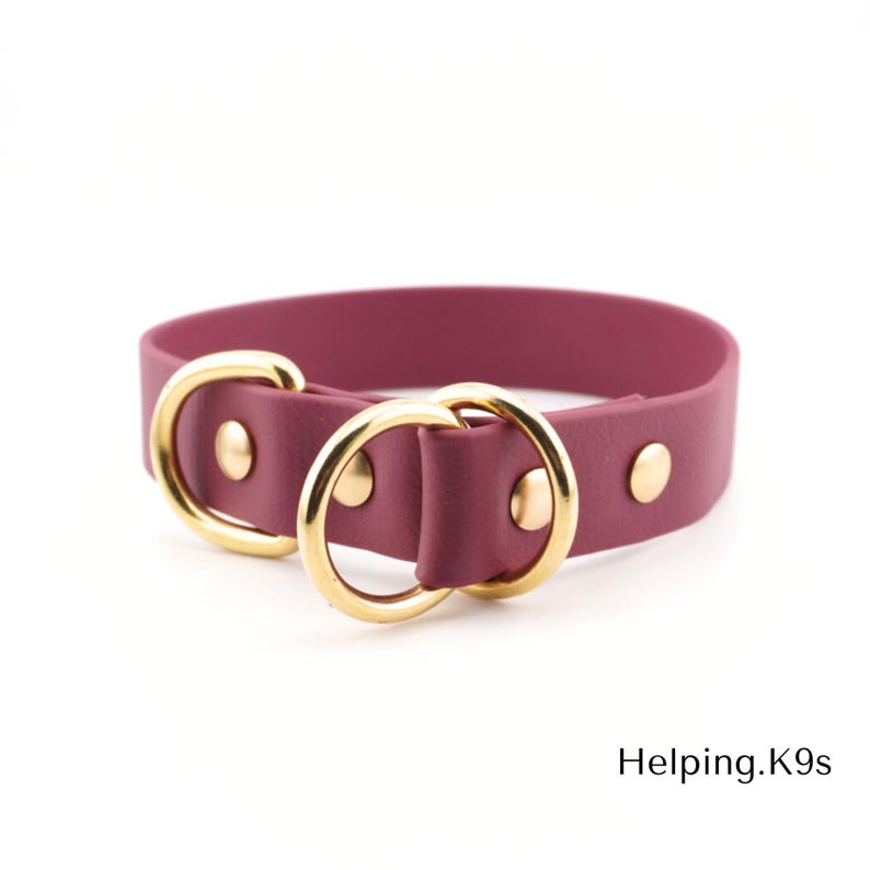 1" BioThane® Slip Collar – Waterproof & Odor-Proof Custom Training Collar with Brass Hardware, Handmade in USA