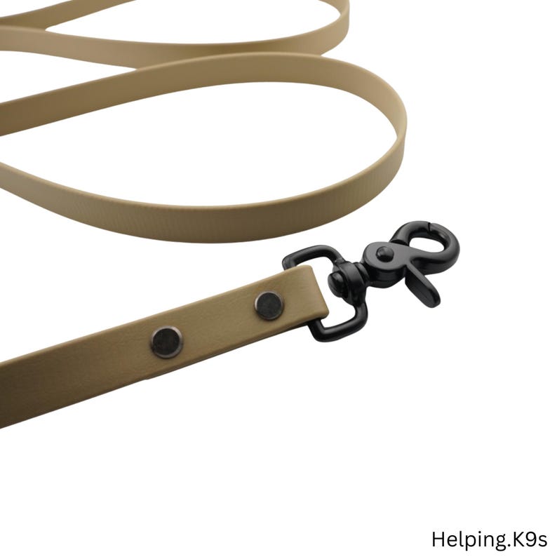 One-Tone BioThane® Dog Leash – Custom Waterproof & Odor-Proof Leash, 5/8" Wide, Brass Hardware, Handmade in USA