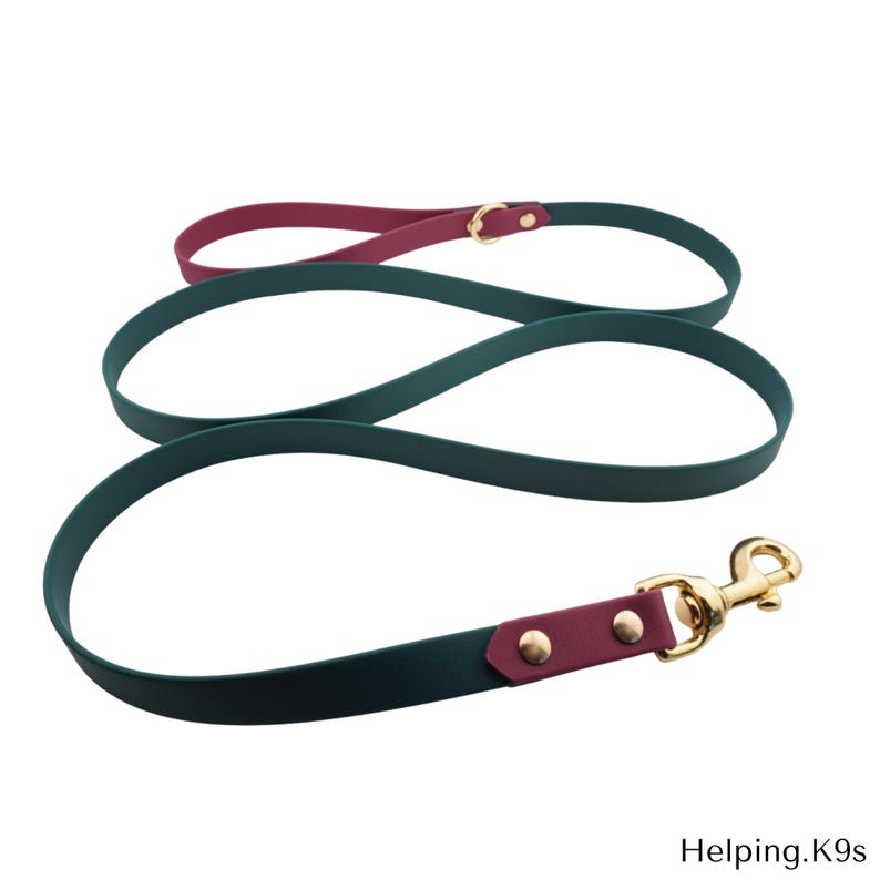 Two-Tone BioThane® Dog Leash – Custom Waterproof & Odor-Proof Leash, 3/4" Wide with Brass Hardware, Handmade in USA