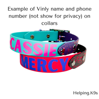 Vinly Lettering Desing Leash or Collar Add On