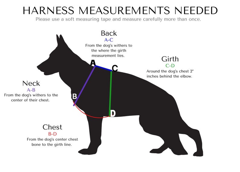 BioThane® Agitation & Tracking Dog Harness – Waterproof Working Dog Harness with Handle, 1" Wide, Handmade in USA