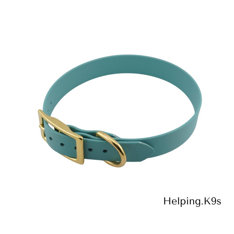 Standard BioThane® Dog Collar – Waterproof & Odor-Proof Adjustable Collar, Brass Hardware, 3/4" or 1" Wide, Handmade in USAlar