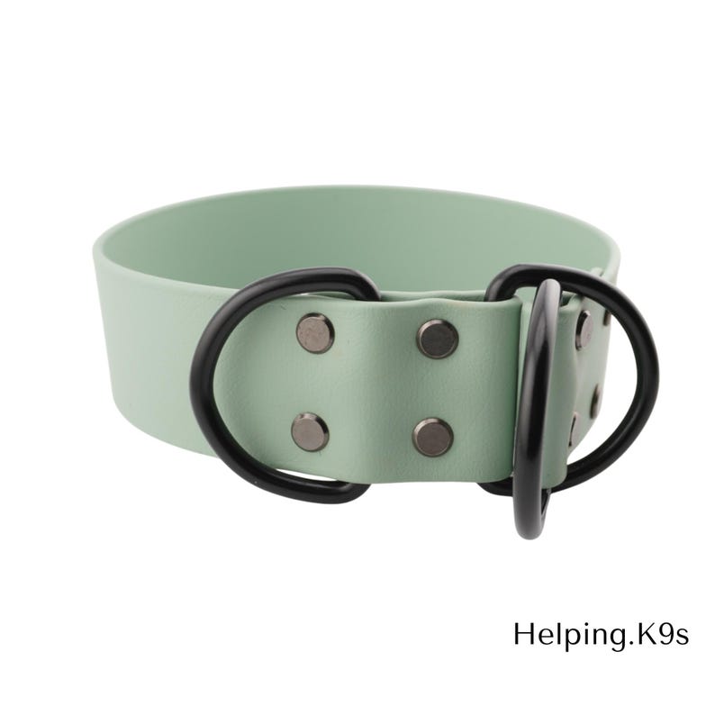 1.5" BioThane® Slip Collar – Waterproof & Odor-Proof Custom Training Collar, Brass Hardware, Handmade in USA