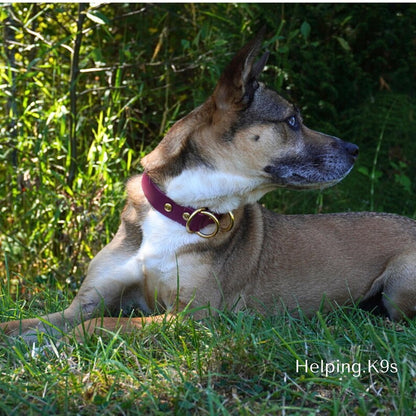1" BioThane® Slip Collar – Waterproof & Odor-Proof Custom Training Collar with Brass Hardware, Handmade in USA