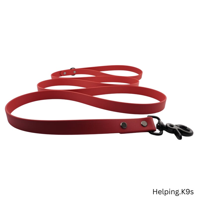One-Tone BioThane® Dog Leash – Custom Waterproof & Odor-Proof Leash, 3/4" Wide with Brass Hardware, Handmade in USA