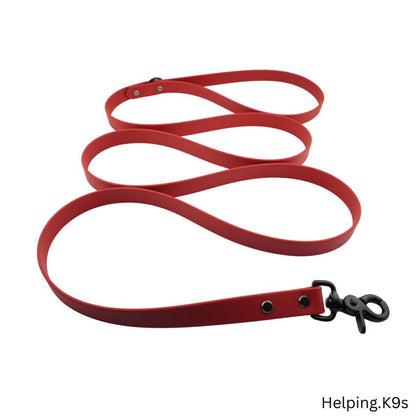One-Tone BioThane® Dog Leash – Custom Waterproof & Odor-Proof Leash, 3/4" Wide with Brass Hardware, Handmade in USA