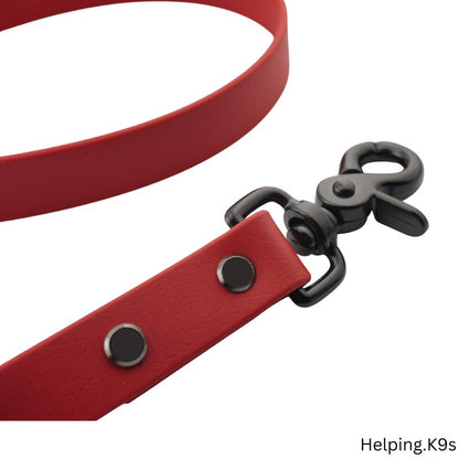 One-Tone BioThane® Dog Leash – Custom Waterproof & Odor-Proof Leash, 3/4" Wide with Brass Hardware, Handmade in USA