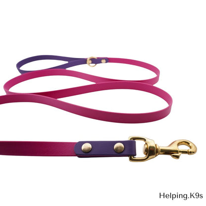 Two-Tone BioThane® Dog Leash – Custom Waterproof & Odor-Proof Leash, 5/8" Wide, Brass Hardware, Handmade in USA