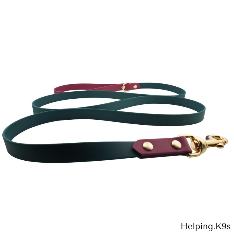 Two-Tone BioThane® Dog Leash – Custom Waterproof & Odor-Proof Leash, 3/4" Wide with Brass Hardware, Handmade in USA